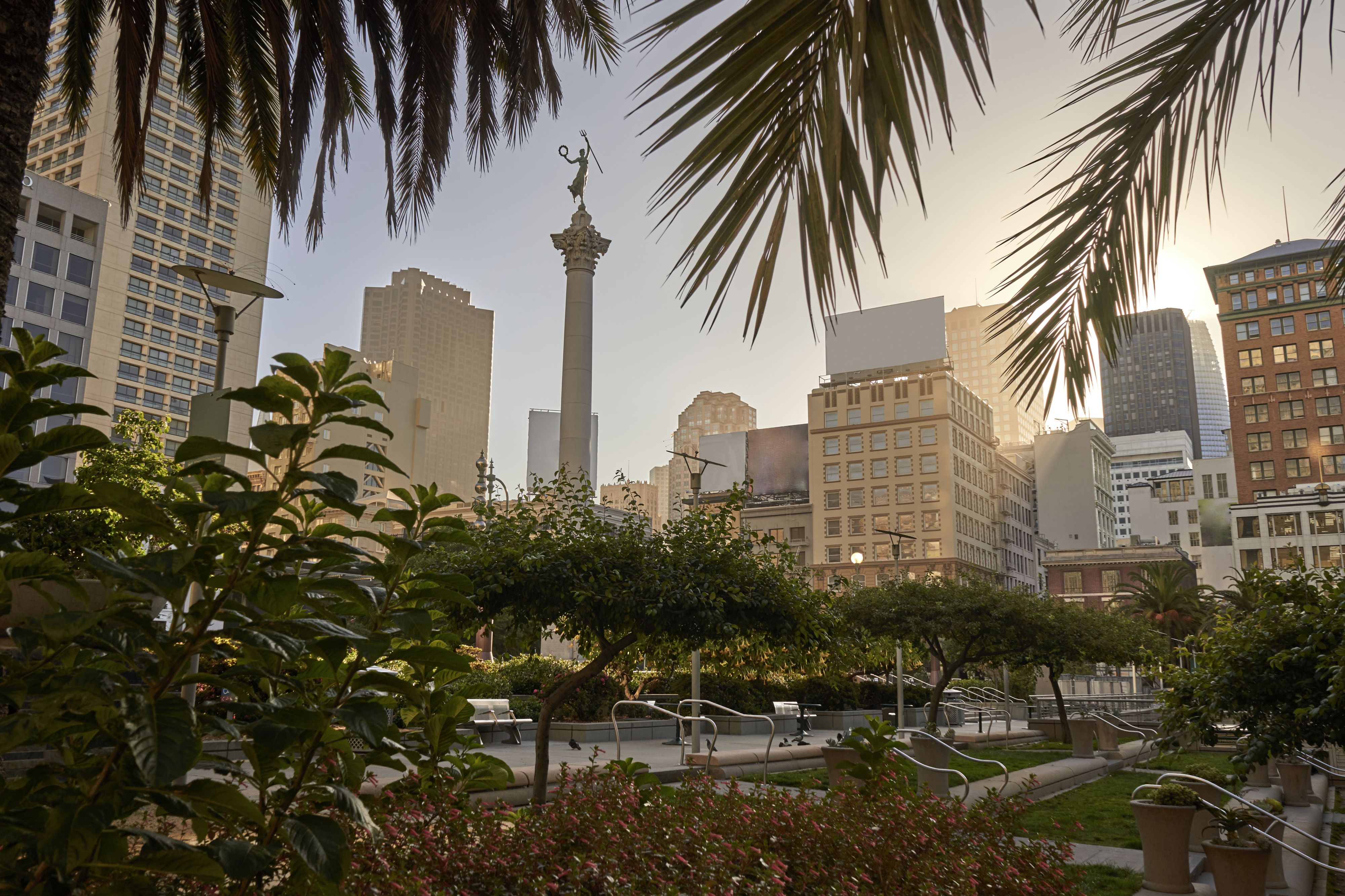 San Francisco Union Square in the early morning shot through trees.